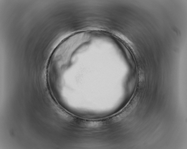 X0000113261423200910011358