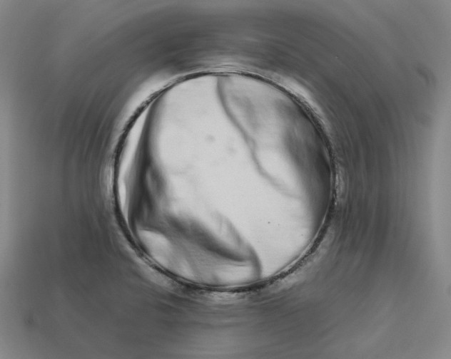 X0000113261424200910011358