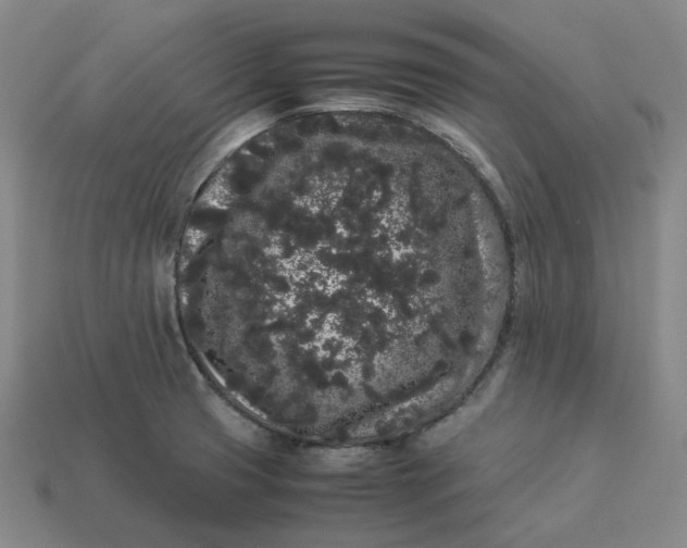 X0000113261425200910011358