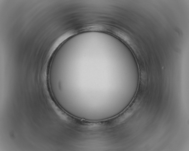 X0000113261426200910011358