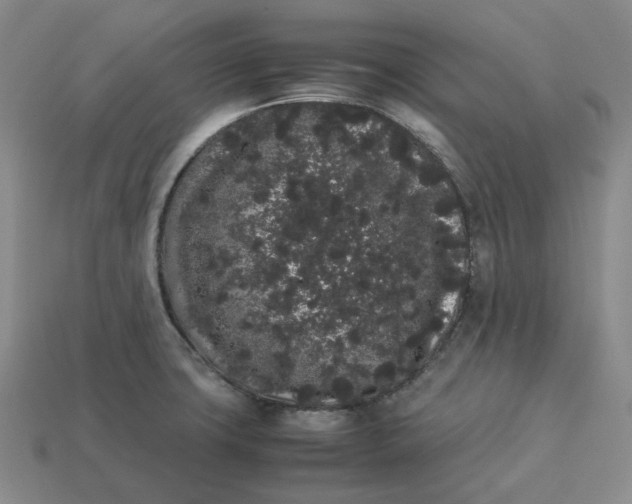 X0000113261427200910011358