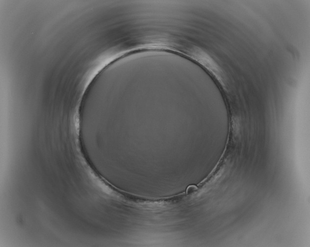 X0000113261428200910011358