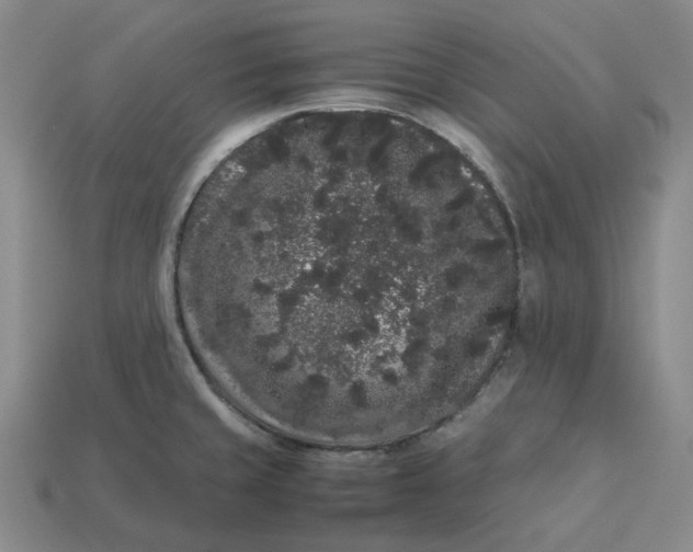 X0000113261429200910011358