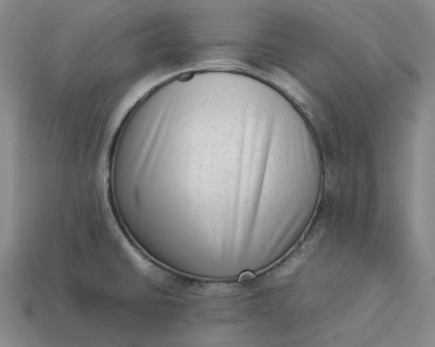 X0000113261430200910011358