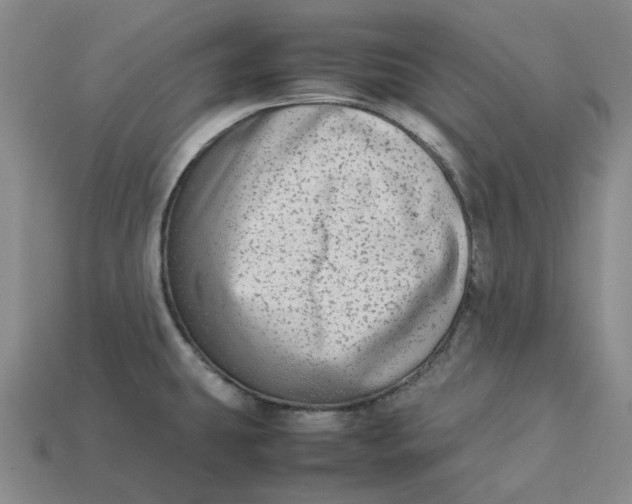 X0000113261431200910011358