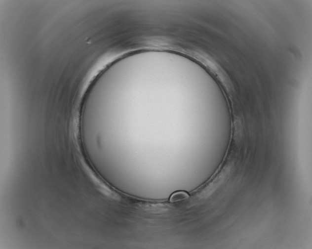 X0000113261432200910011358