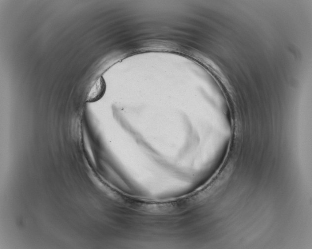 X0000113261433200910011358