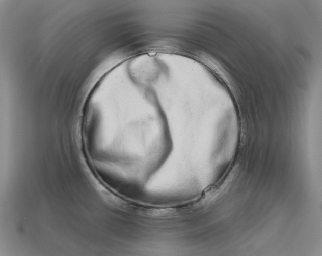 X0000113261434200910011358