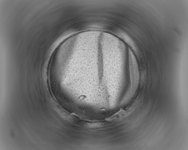 X0000113261435200910011358