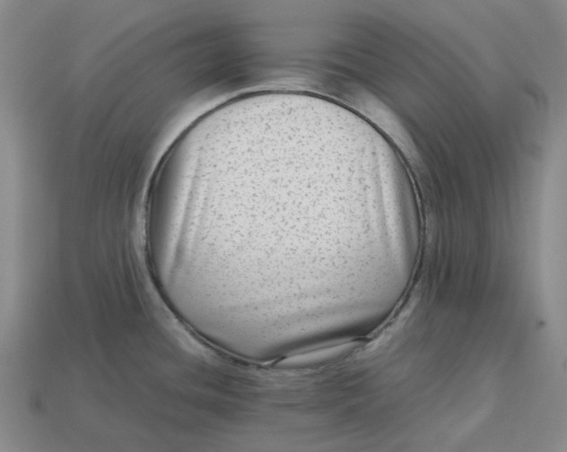 X0000113261436200910011358