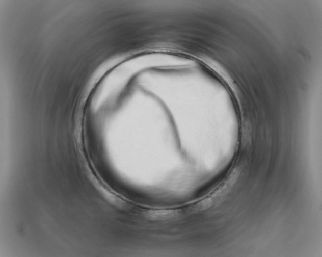 X0000113261437200910011358