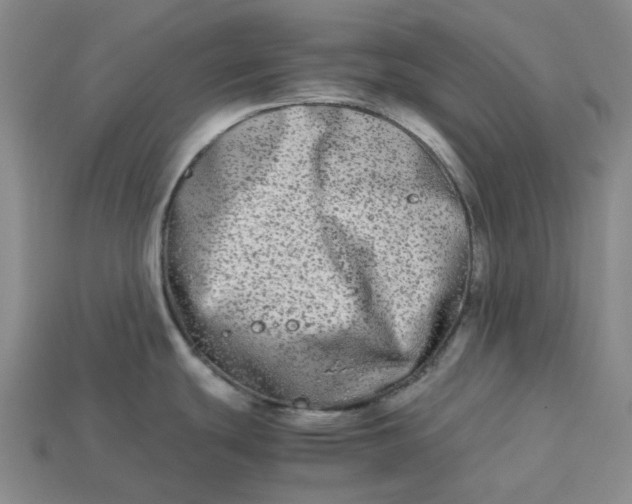 X0000113261439200910011358