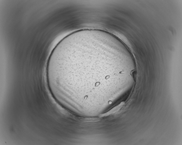 X0000113261440200910011358