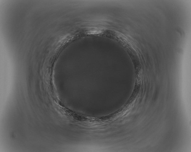 X0000113261441200910011357