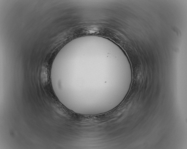 X0000113261442200910011357