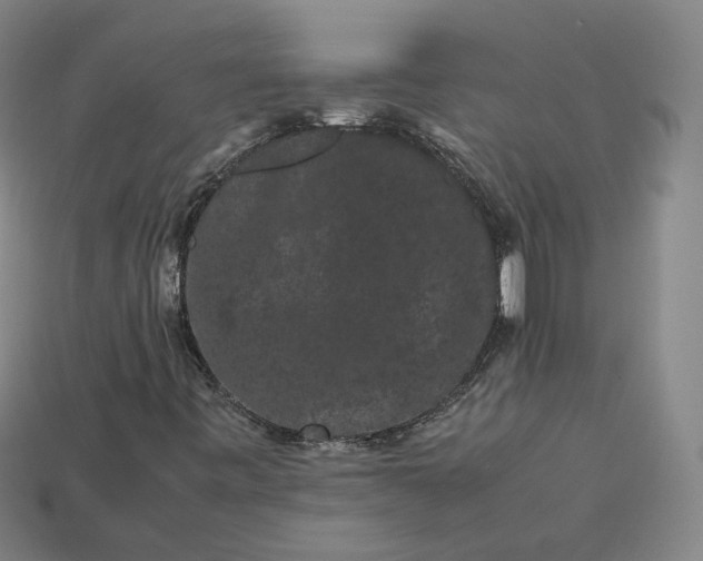 X0000113261443200910011357