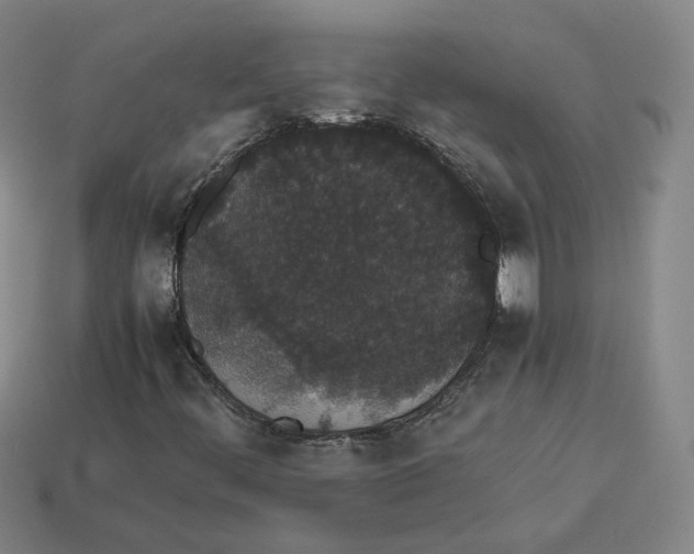 X0000113261444200910011357