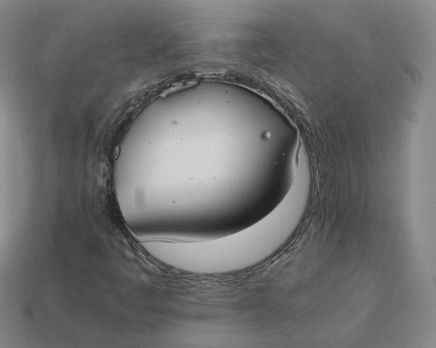 X0000113261445200910011357