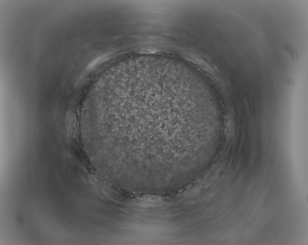 X0000113261446200910011357