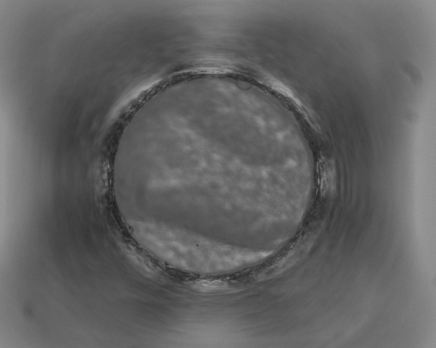 X0000113261448200910011357