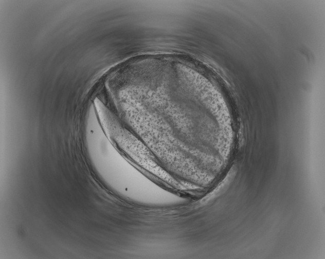 X0000113261449200910011357