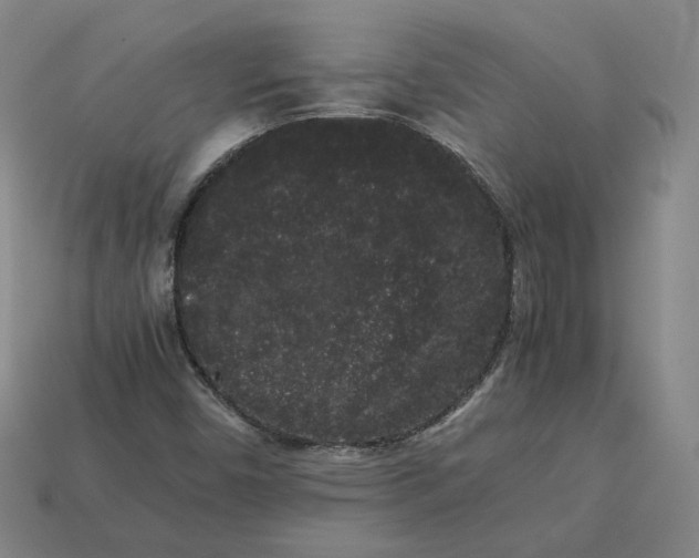 X0000113261450200910011357