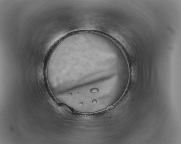 X0000113261452200910011357