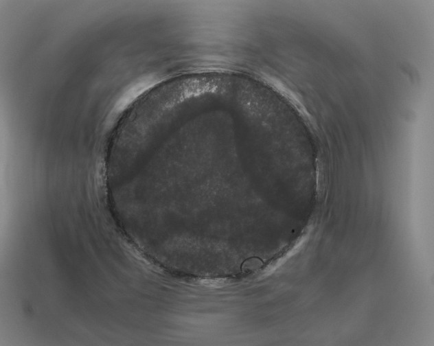 X0000113261453200910011357