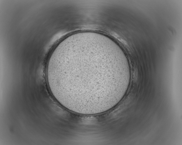 X0000113261454200910011357