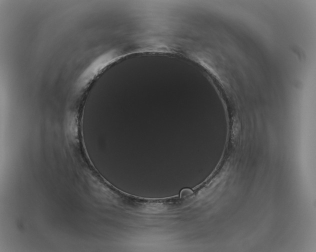 X0000113261455200910011357