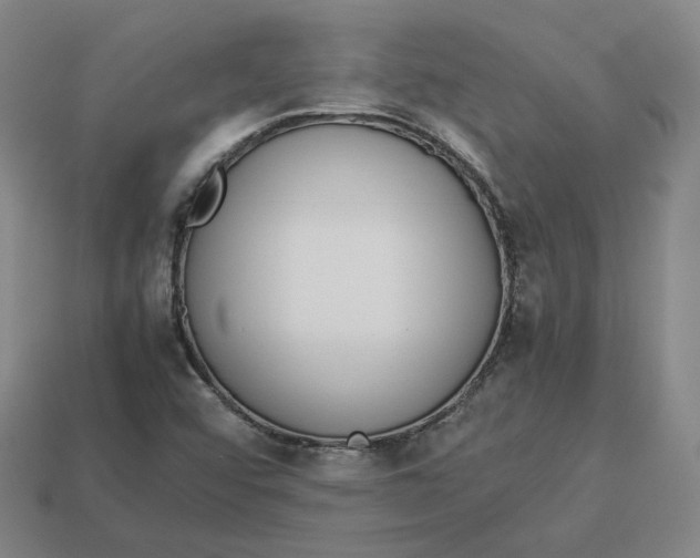 X0000113261456200910011357