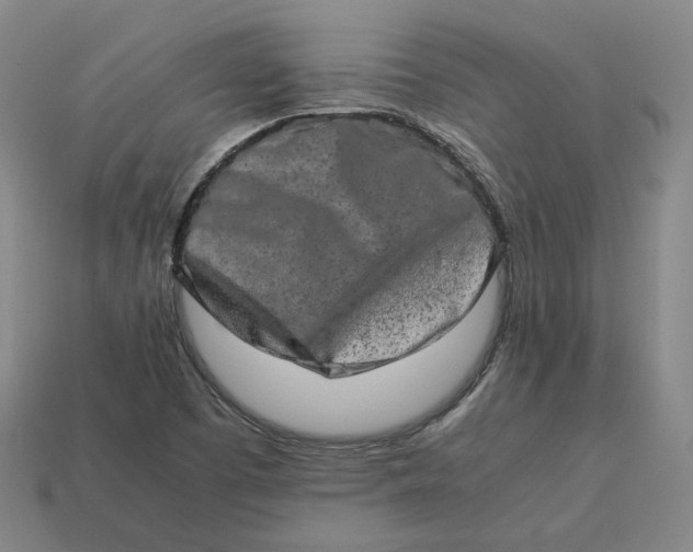 X0000113261457200910011357