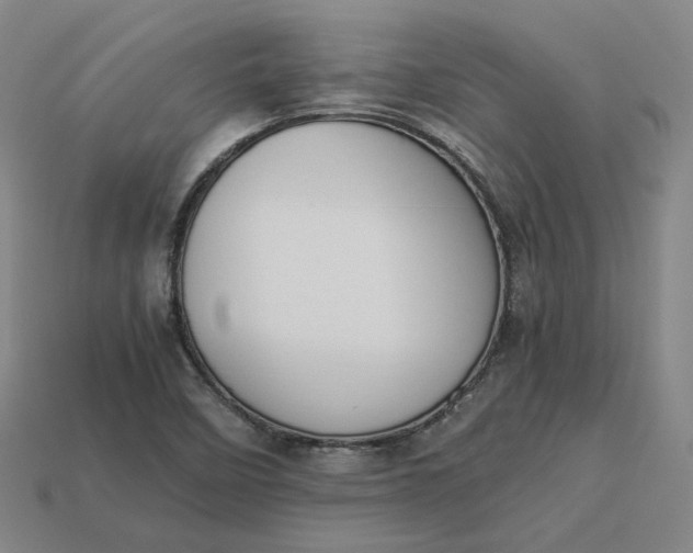 X0000113261458200910011357