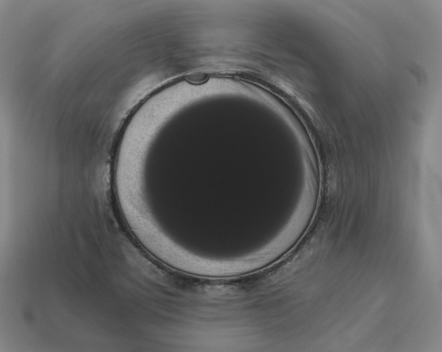 X0000113261459200910011357