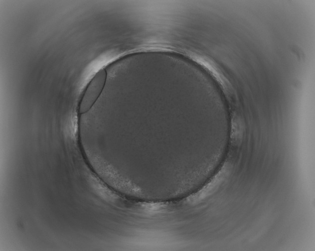 X0000113261461200910011357