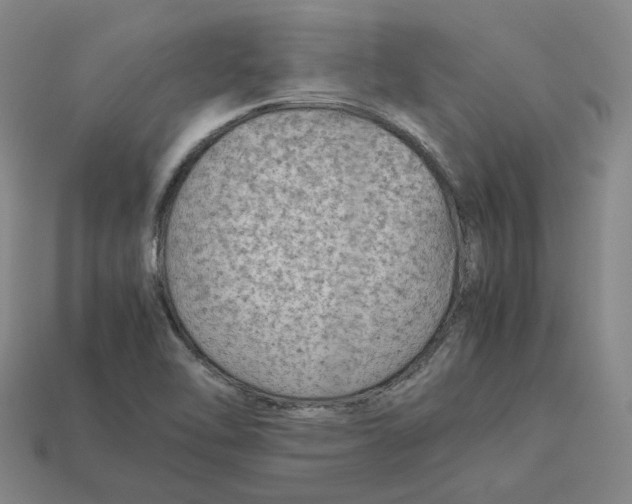 X0000113261462200910011357