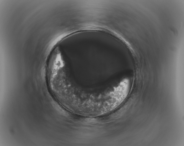 X0000113261463200910011357