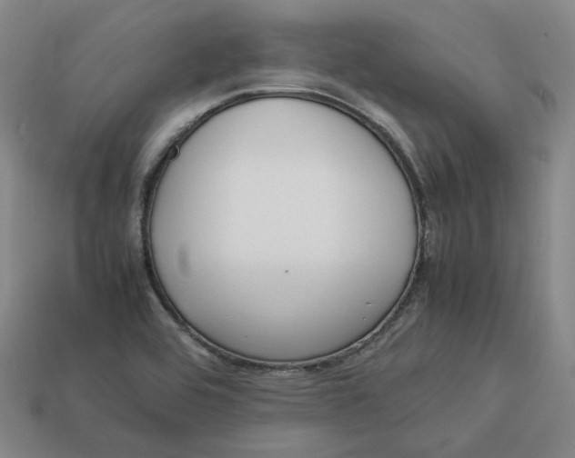 X0000113261464200910011357