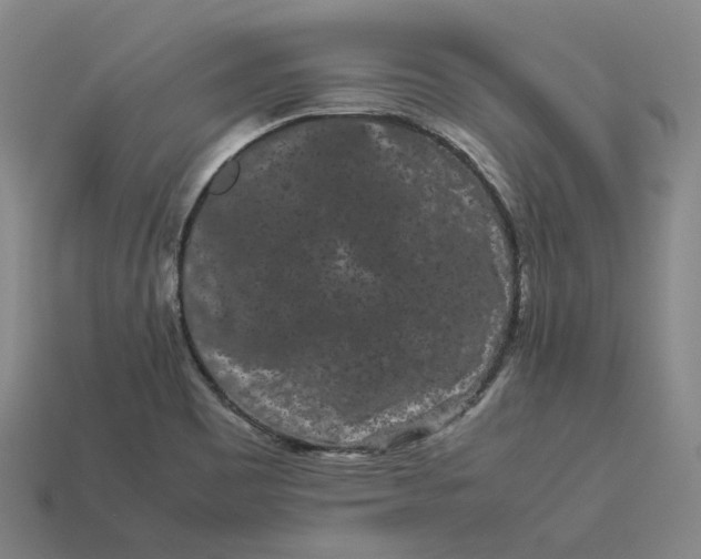 X0000113261465200910011357