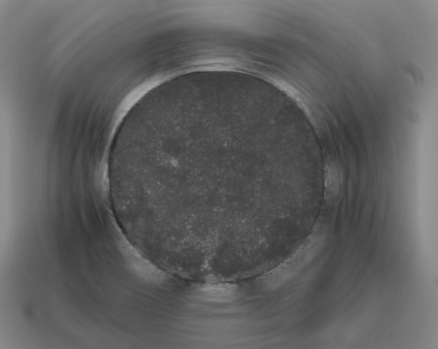 X0000113261466200910011357