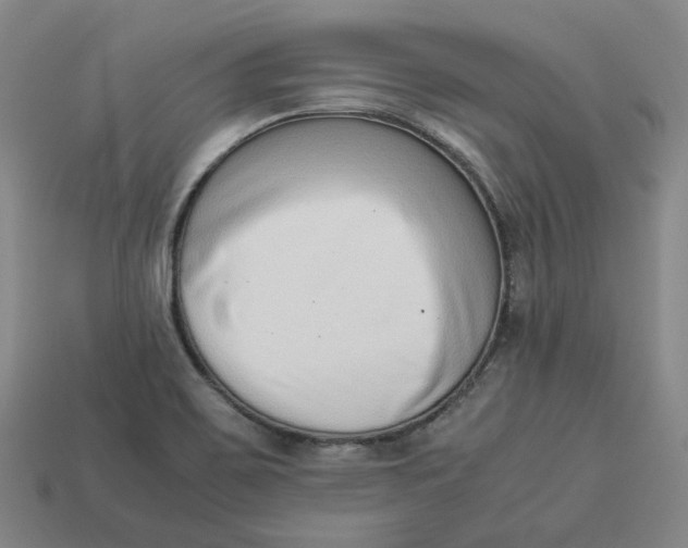 X0000113261467200910011357