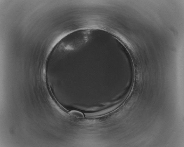 X0000113261468200910011357