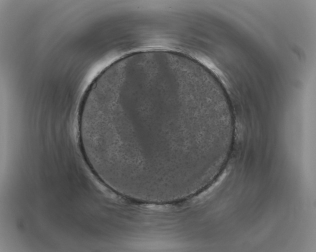 X0000113261469200910011357