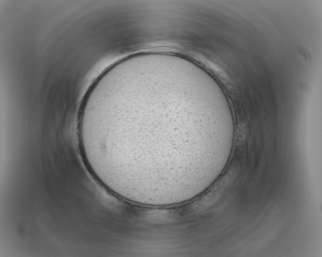 X0000113261470200910011357