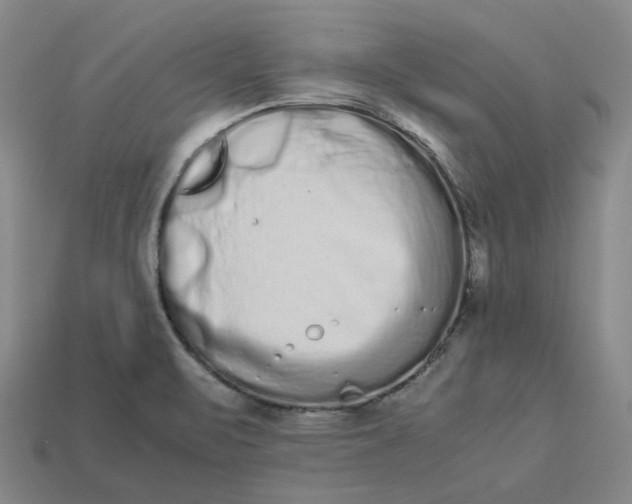 X0000113261471200910011357