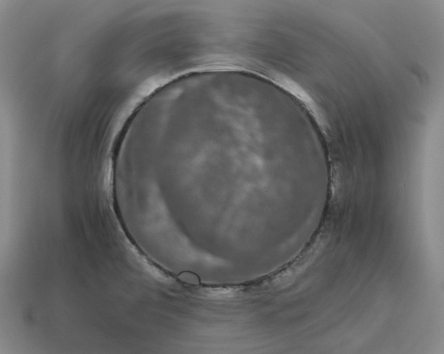 X0000113261472200910011357