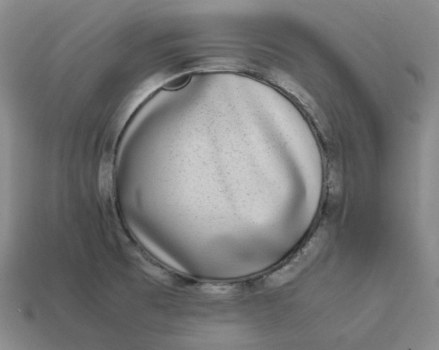 X0000113261473200910011357