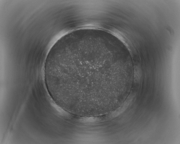 X0000113261474200910011357