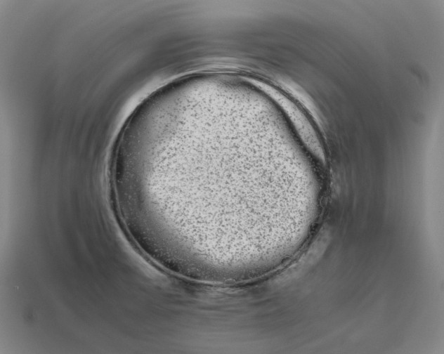 X0000113261475200910011357