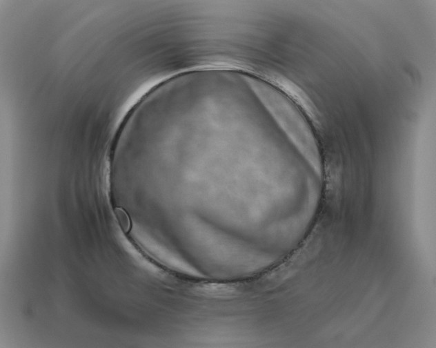 X0000113261476200910011357